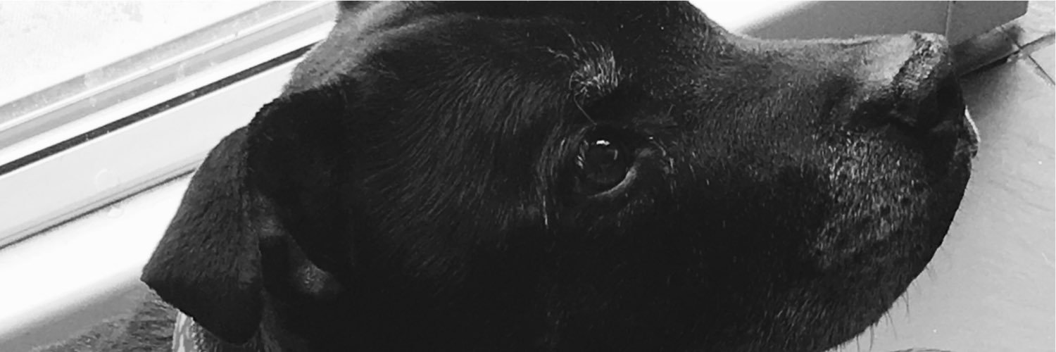 marvin gilbert banner