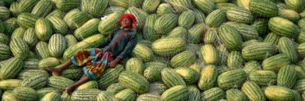 SFahraci's profile banner image
