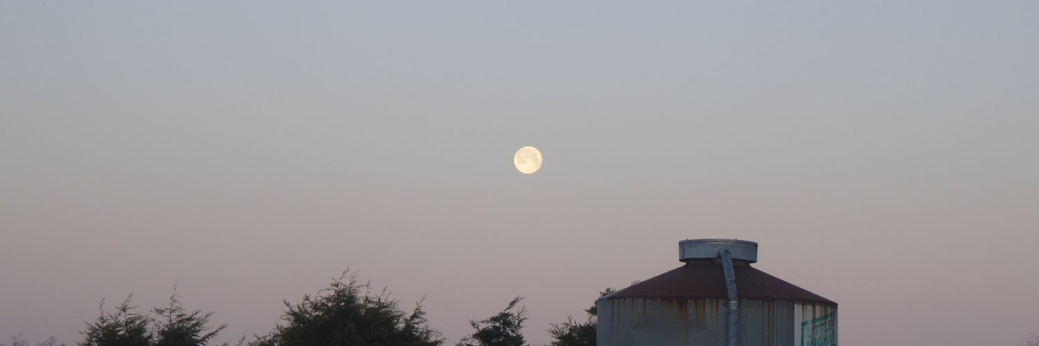 liamxonnor's profile banner image