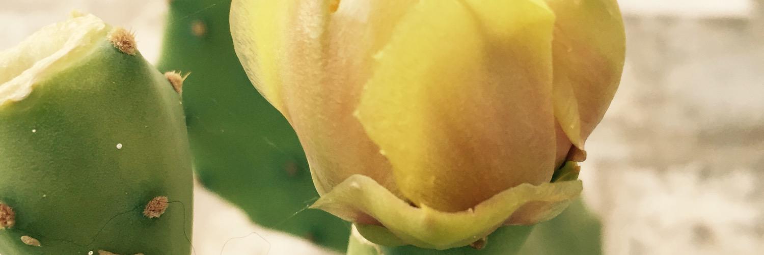 gabriellegolf's profile banner image