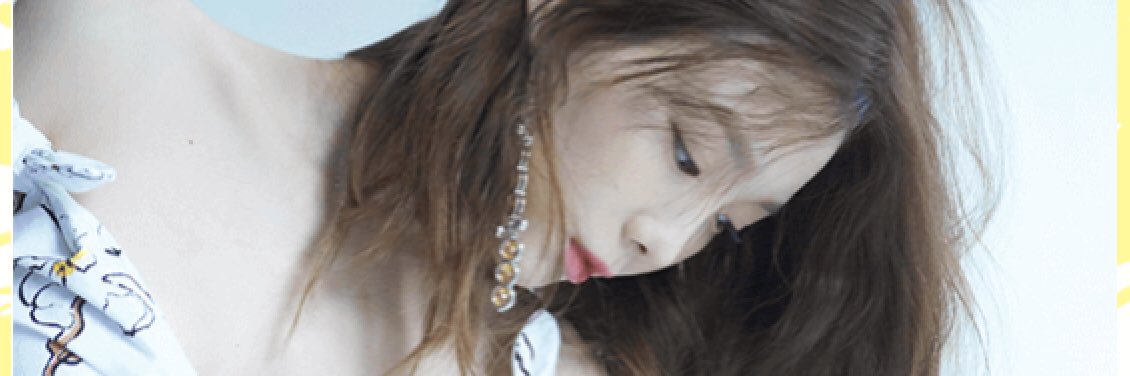 TY309 banner
