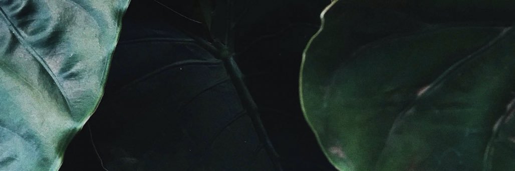 xiim772's profile banner image