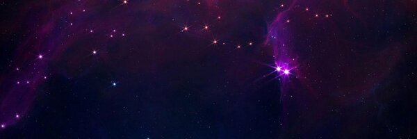 CrypticCitrus Profile Banner