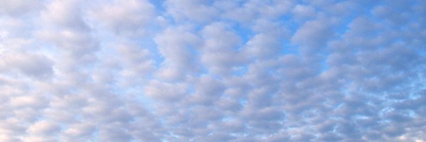 RanaConway Profile Banner