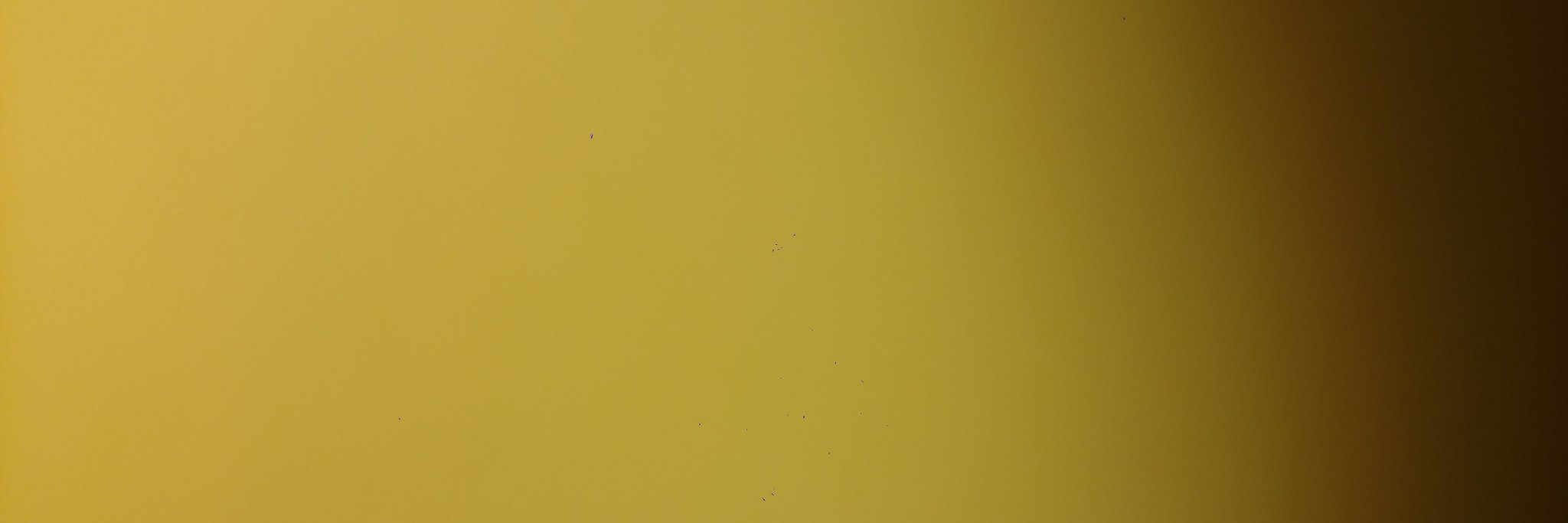 Fuseborg's profile banner image