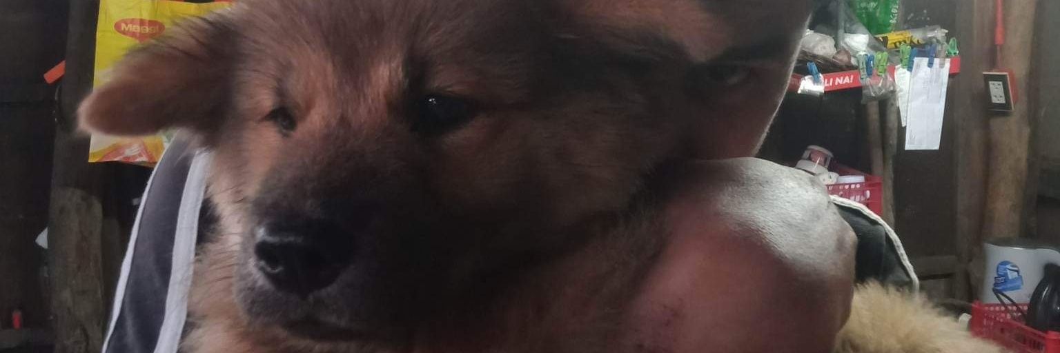 nsbmoshy's profile banner image