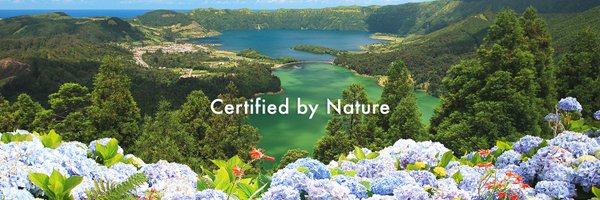 visitingazores Profile Banner