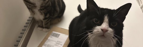 __MelissaJane__ Profile Banner