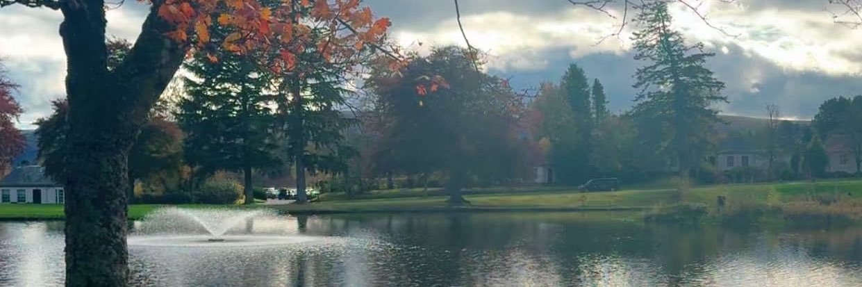 عهود الحقباني banner