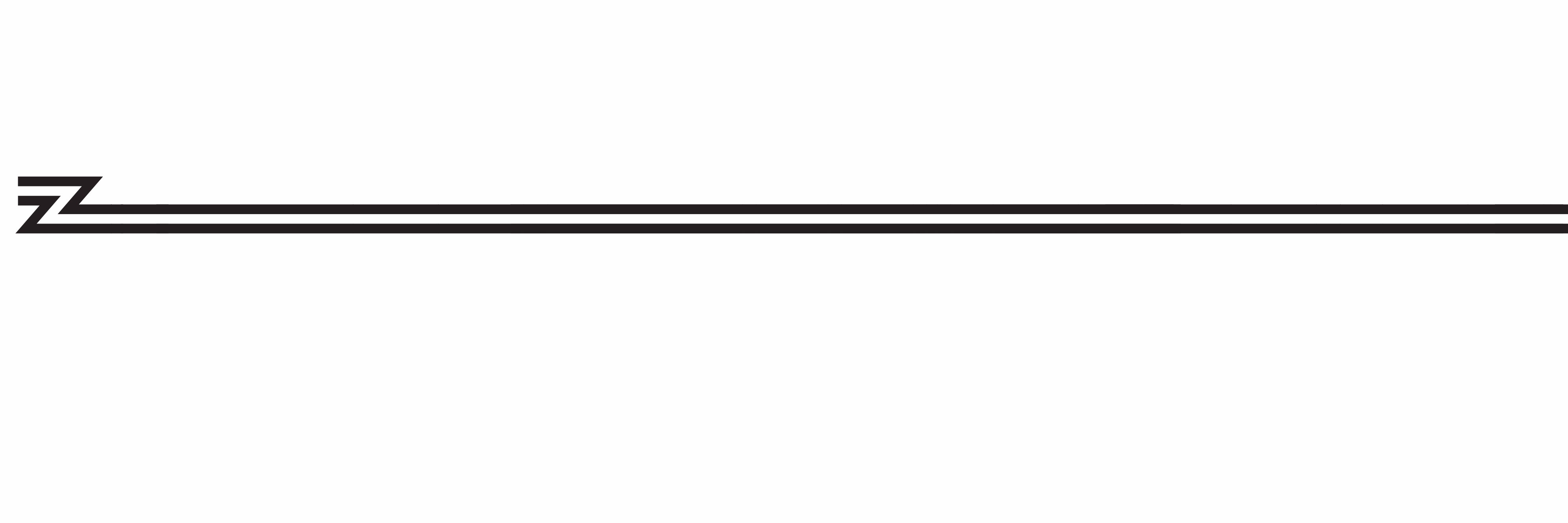 Zing Insights banner