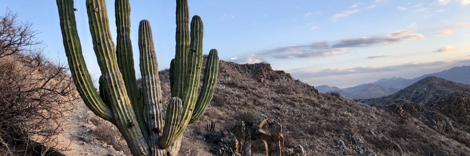 Diego Ruiz Gayol banner