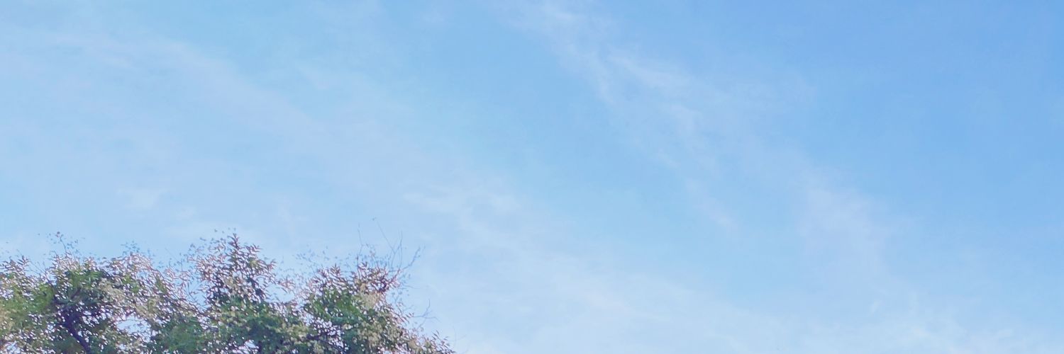 TMXKong's profile banner image