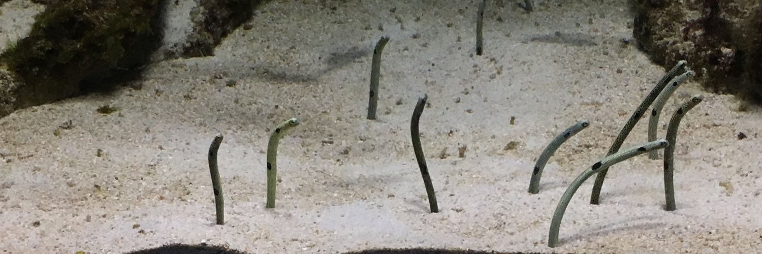 夏野あきら banner