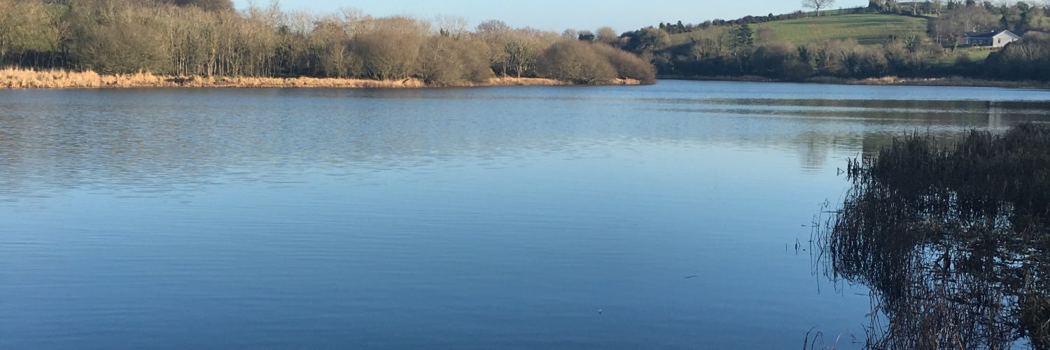 Aisling Press banner