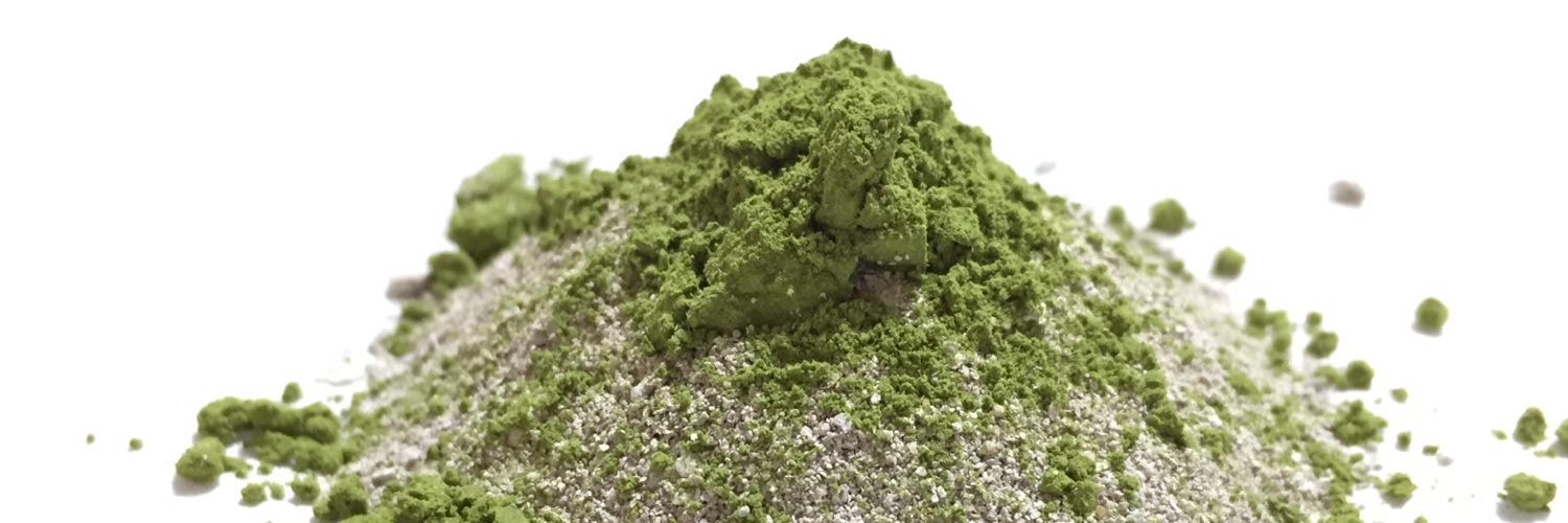 TheLoveMatcha's profile banner image