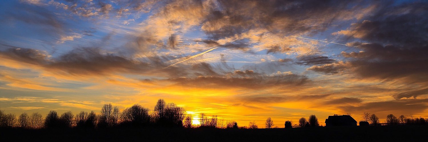 David Robbins banner