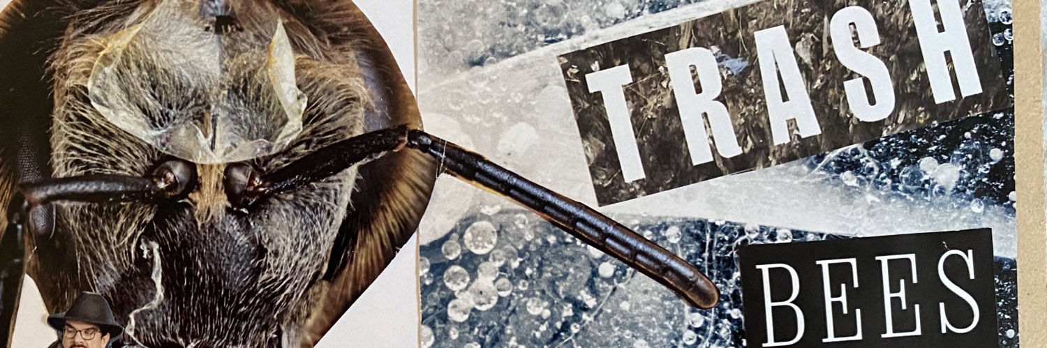 Nick Mataragas banner