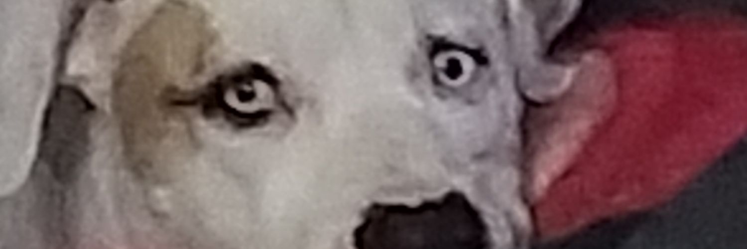 michellemo719's profile banner image