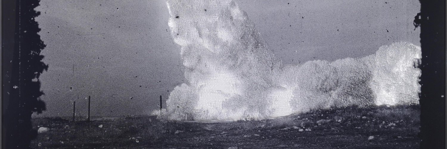 Virginie Le Borgne banner