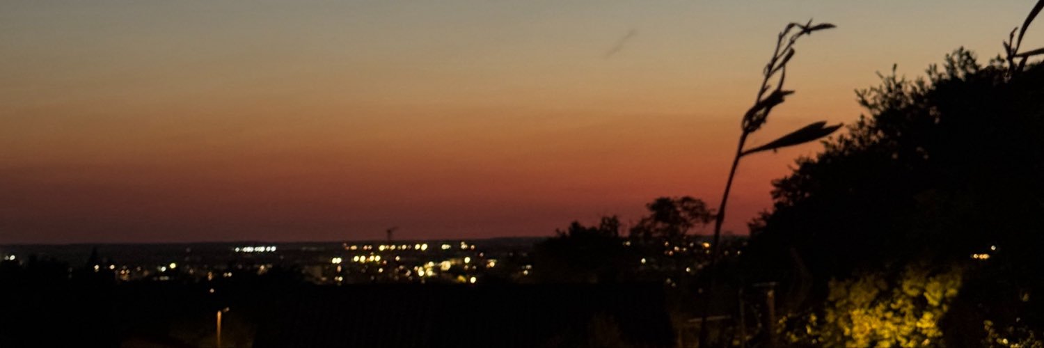 bertilledp's profile banner image