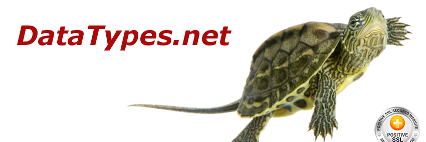 DataTypesnet's profile banner image