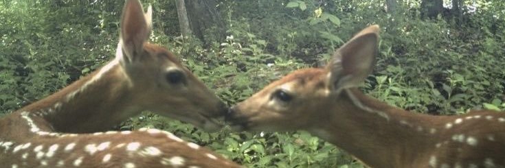 smrtgllr's profile banner image
