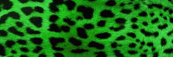 MindOfDesign Profile Banner