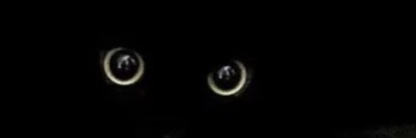 alec_mt's profile banner image