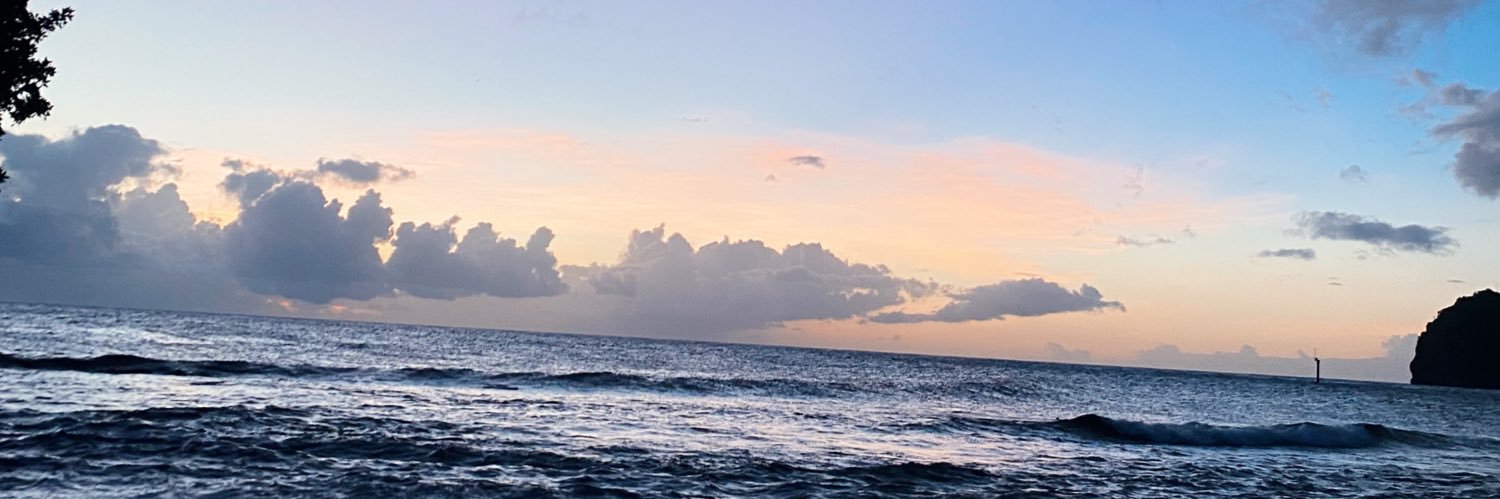 adeleharrison1's profile banner image
