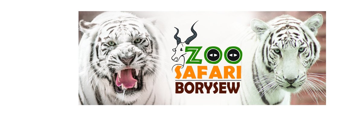 ZooBorysew's profile banner image