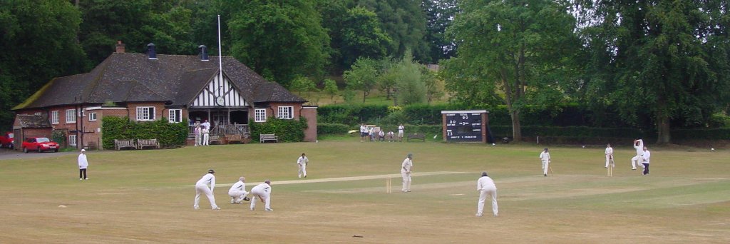 Andrew Alderson banner