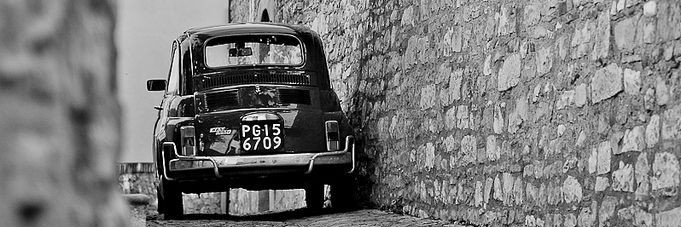 elvis ☆ perla's banner