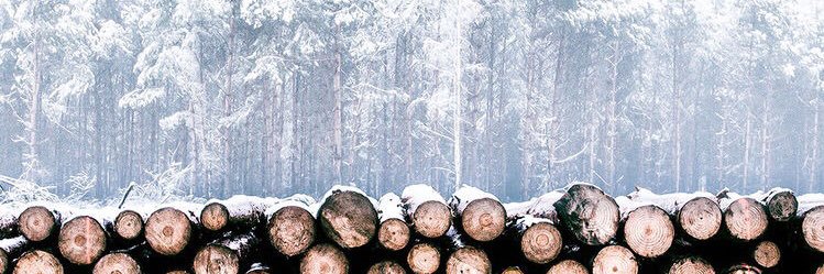 sofia_vecher_'s profile banner image
