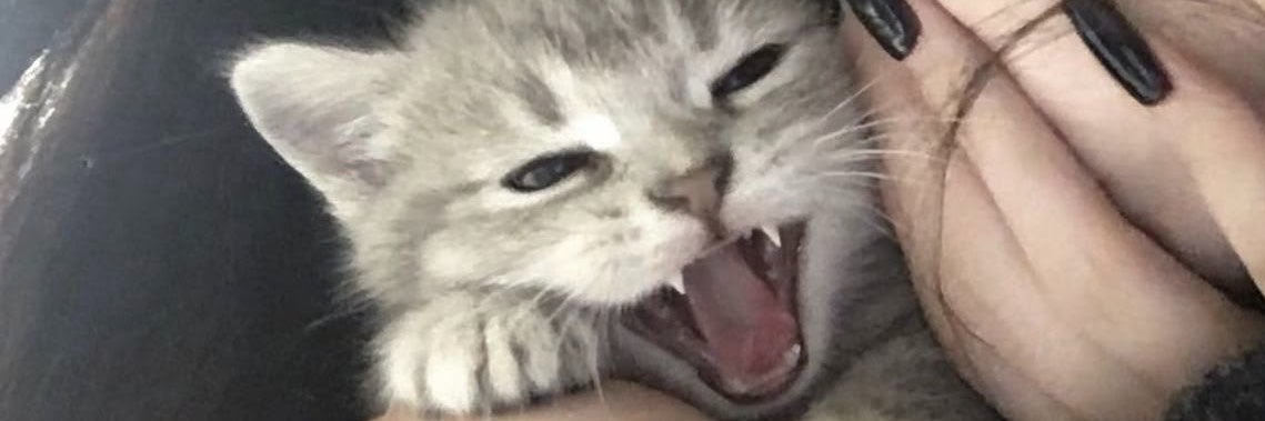 juympy's profile banner image