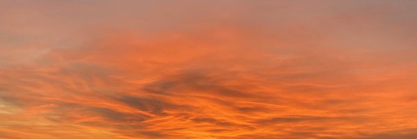 BERKKO75 Profile Banner