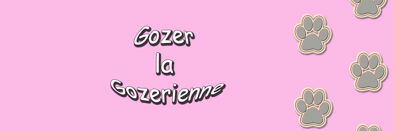 la_gozer's profile banner image