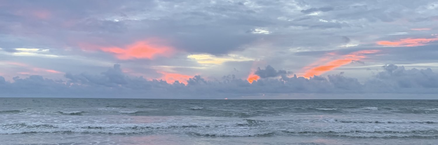pntbllfox's profile banner image