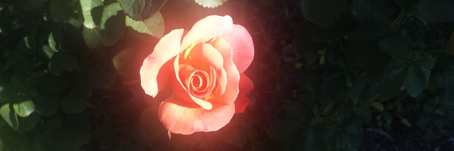 kathy_lebro's profile banner image