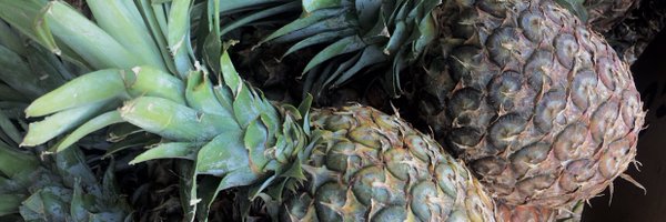 im_markkevin Profile Banner