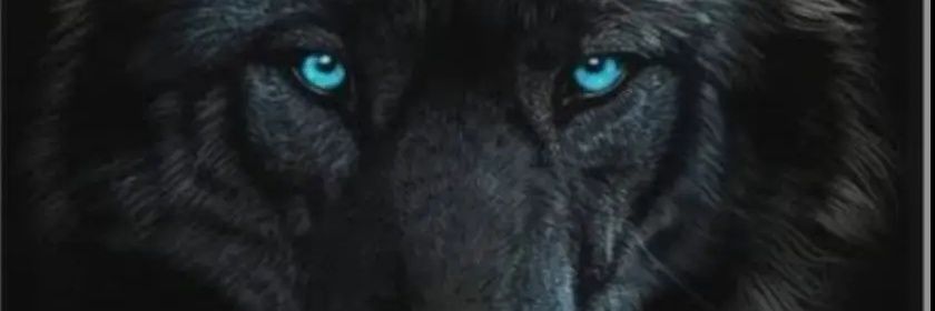 DON_GINETTO's profile banner image