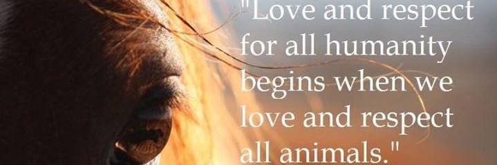 writes4animals's profile banner image