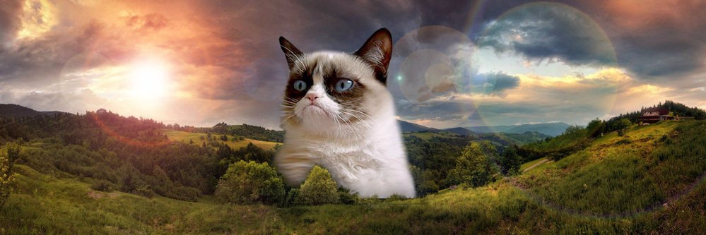 SerialRanter's profile banner image