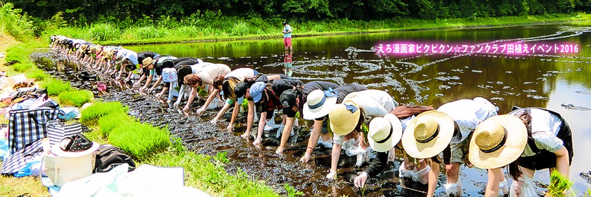 PIKU2N_2's profile banner image