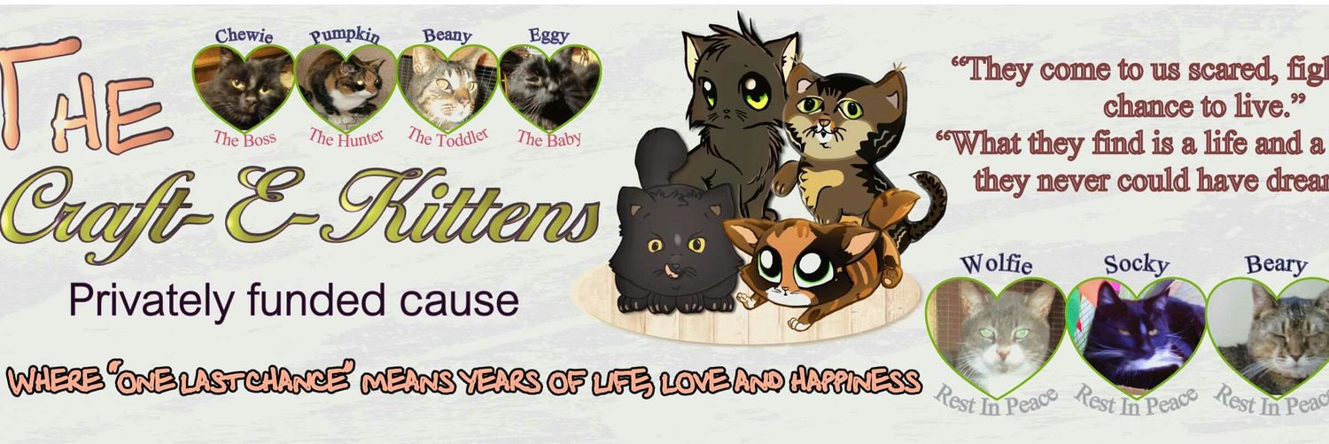 CraftEKittens's profile banner image