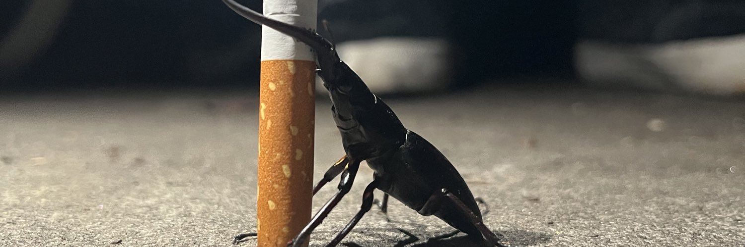 king51pest's profile banner image