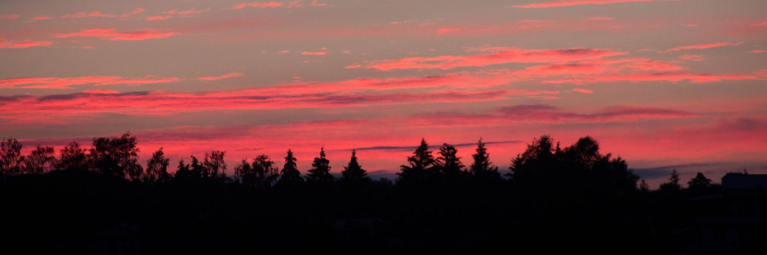 Lil_Volpe's profile banner image