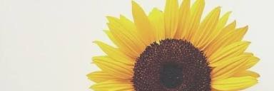 jaiAgstn's profile banner image