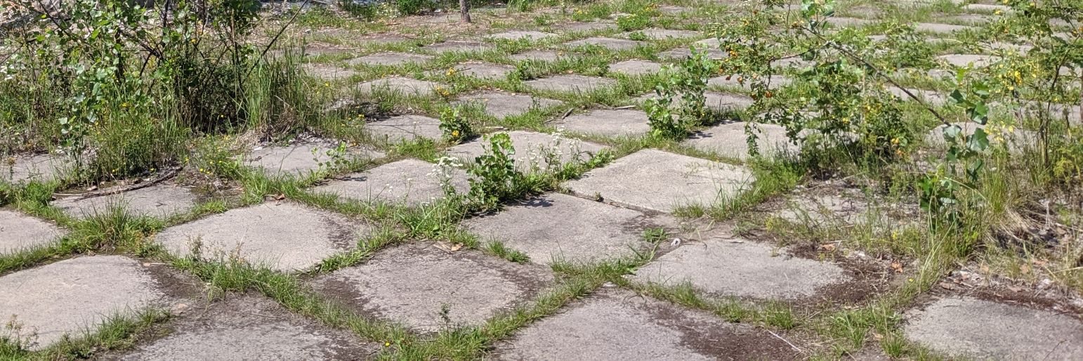 James Williams banner