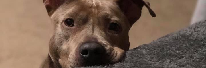 whitley_29's profile banner image