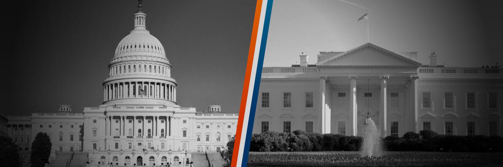 CampaignStop16's profile banner image